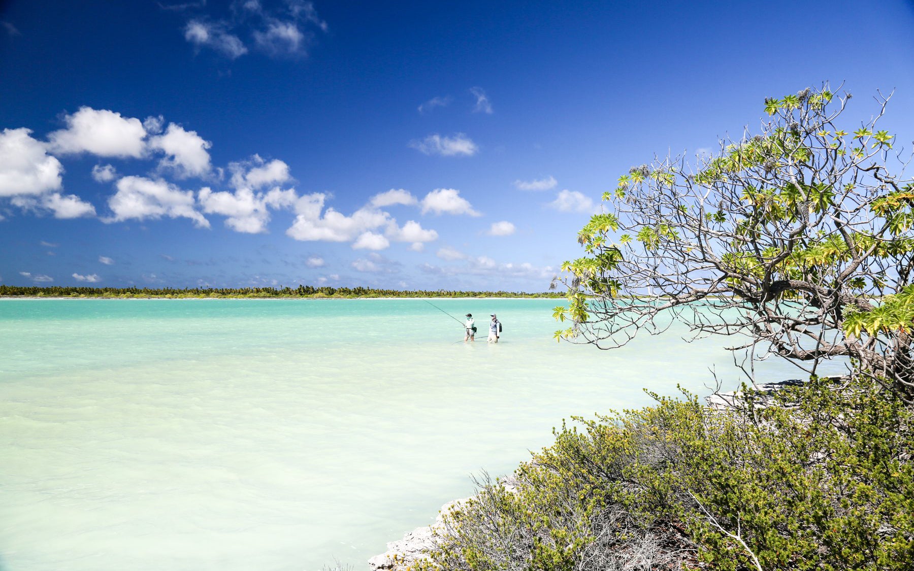 Christmas island [Kiritimati]