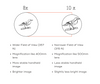 Nocs Provisions - 10x25 Standard Binocular