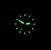 DX3 Canvas Watch, Saguaro dial - #277 Evergreen Comfort Canvas band