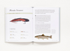 The History of Fly-Fishing in Fifty Flies