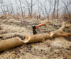 Hults Bruk Jonaker Hatchet