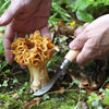 Opinel Mushroom Knife with Brush-No.08